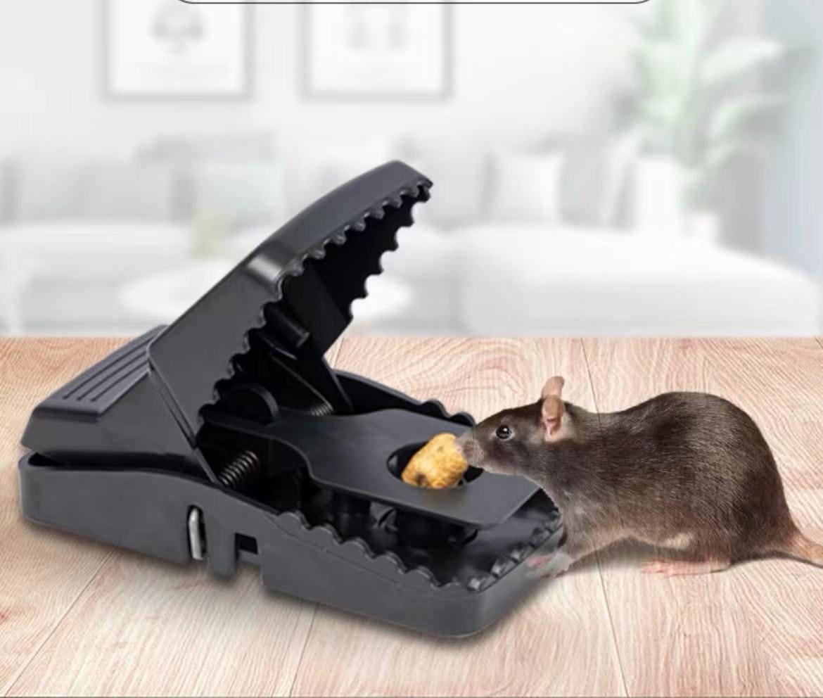 Mouse Trap