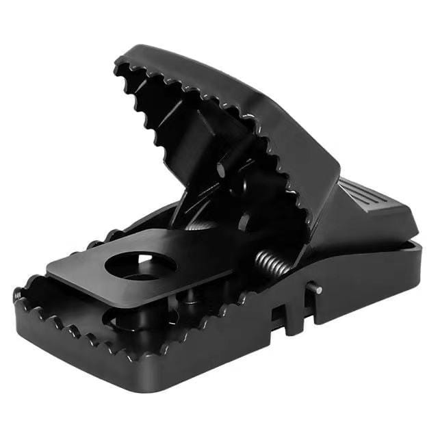 Mouse Trap