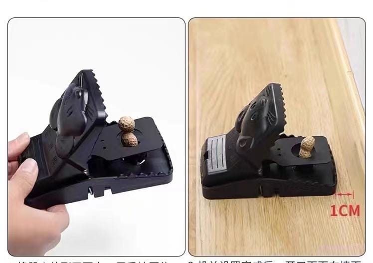 Mouse Trap